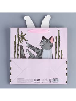 Пакет подарочный «Йога», объёмная деталь, 22×22×10 см