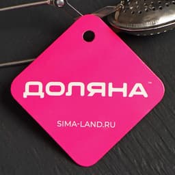 Ситечко для чая Доляна «Листик», 17 см, серебристое