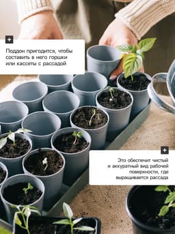 Поддон для рассады, 37×13.5×2.5 см, пластик, серый