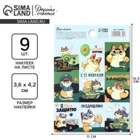 Наклейки детские бумажные «23 февраля», кот, 11×15.5 см