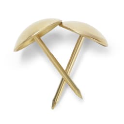 Гвозди ТУНДРА, декоративные, обивочные, 10×18.5 мм, золото, 100 шт.