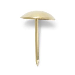 Гвозди ТУНДРА, декоративные, обивочные, 10×18.5 мм, золото, 100 шт.