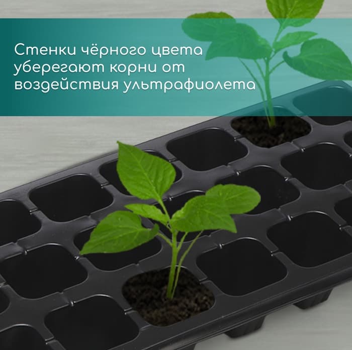 Кассета для рассады, 21 ячейка по 150 мл, пластик, чёрная, 54×28×7 см, Greengo