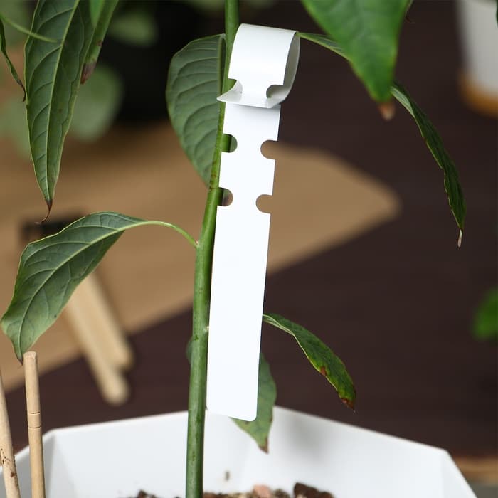 Бирки-петельки садовые, для маркировки растений, 21×2 см, набор 20 шт., пластик, МИКС, Greengo