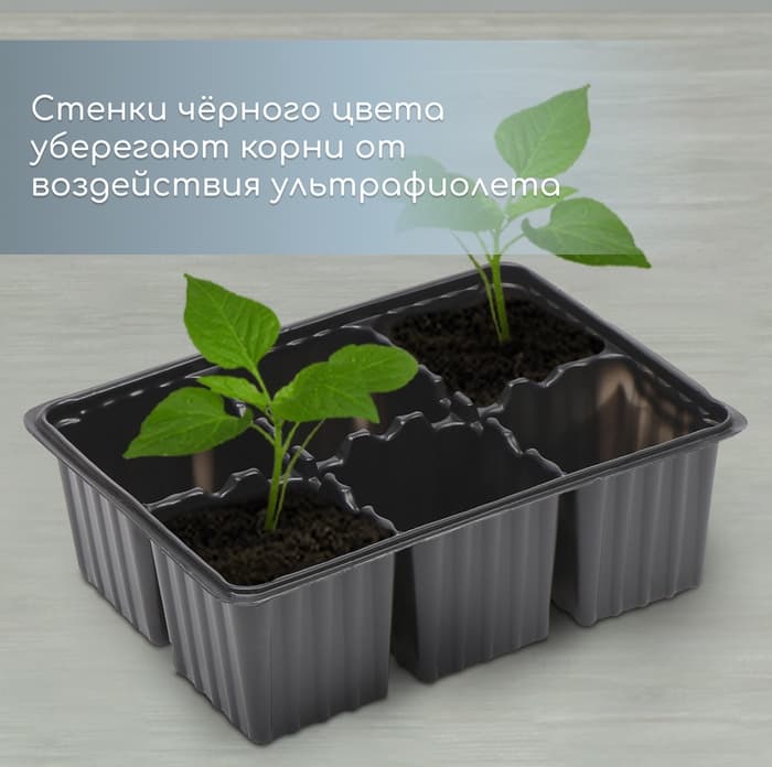 Кассета для рассады, 6 ячеек по 120 мл, пластик, чёрная, набор 5 шт.