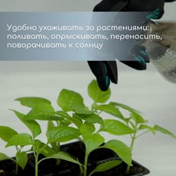 Кассета для рассады, 6 ячеек по 120 мл, пластик, чёрная, набор 5 шт.