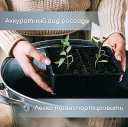 Кассета для рассады, 6 ячеек по 120 мл, пластик, чёрная, набор 5 шт.