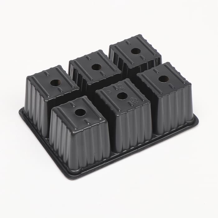 Кассета для рассады, 6 ячеек по 120 мл, пластик, чёрная, набор 5 шт.