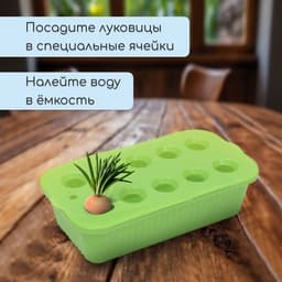 Ящик для выращивания зелёного лука, 29×16×8.5 см, 2.5 л, 10 лунок, пластик, зелёный, Greengo
