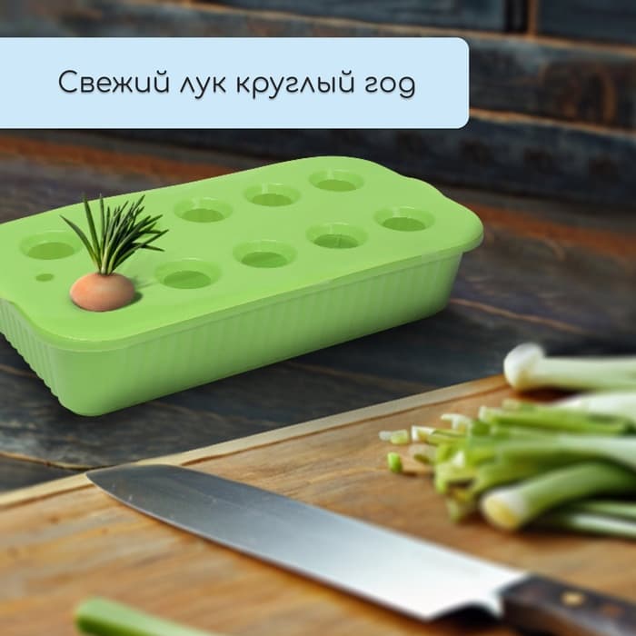 Ящик для выращивания зелёного лука, 29×16×8.5 см, 2.5 л, 10 лунок, пластик, зелёный, Greengo
