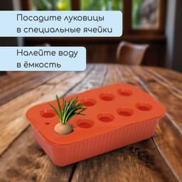Ящик для выращивания зелёного лука, 29×16×8.5 см, 2.5 л, 10 лунок, пластик, оранжевый, Greengo