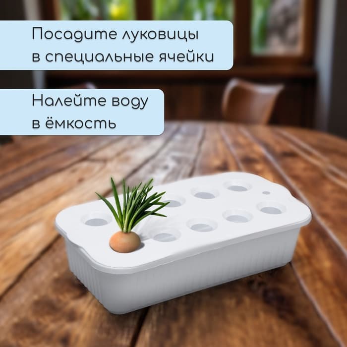 Ящик для выращивания зелёного лука, 29×16×8.5 см, 2.5 л, 10 лунок, пластик, белый, Greengo