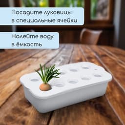Ящик для выращивания зелёного лука, 29×16×8.5 см, 2.5 л, 10 лунок, пластик, белый, Greengo