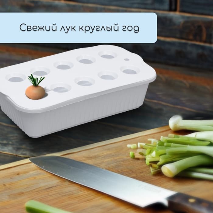 Ящик для выращивания зелёного лука, 29×16×8.5 см, 2.5 л, 10 лунок, пластик, белый, Greengo