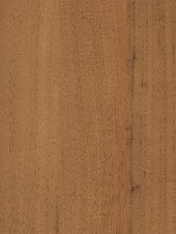 Витрина В 154 ВД, 1520×450×2150, ЛДСП, стекло, ноче гварнери