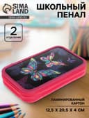 Пенал школьный, 2 секции, 12.5×20.5×4 см «Бабочки»