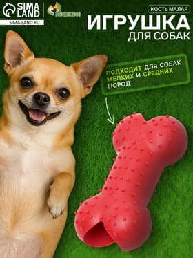 Жевательная игрушка для собак «Кость малая», 8.5 см, TPR, красная