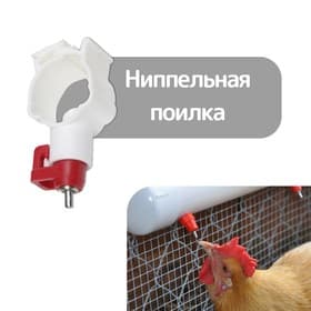 Поилка ниппельная, для домашней птицы, с креплением на трубу, Greengo