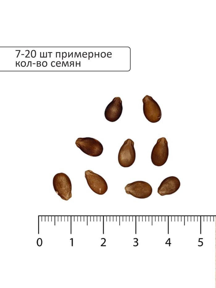 Семена Арбуз "Сахарный малыш", 1 г