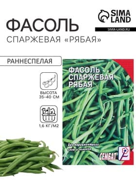 Семена Фасоль спаржевая «Рябая», 3 г, «Сембат»