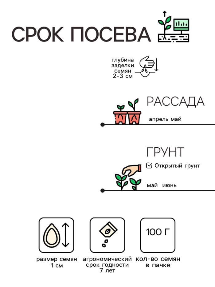 Семена Огурец «Феникс Супер 640», 100 г, «Сембат»