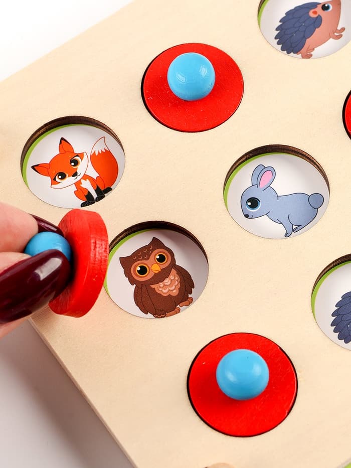 Мемо «Окружающий мир», 12 окошек