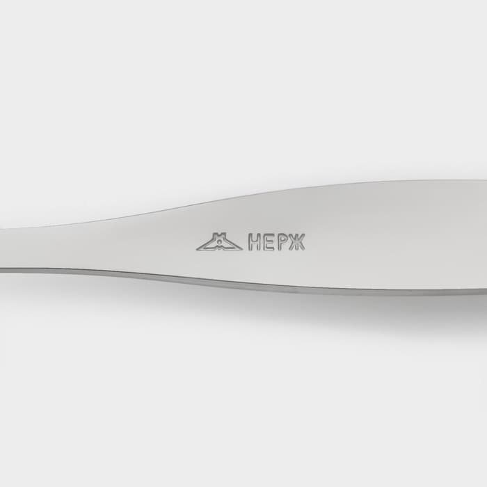 Ложка детская столовая «Антошка», длина 16 см, толщина 2 мм, цвет серебряный