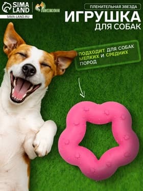 Жевательная игрушка для собак «Пленительная звезда», 7 см, TPR, розовая