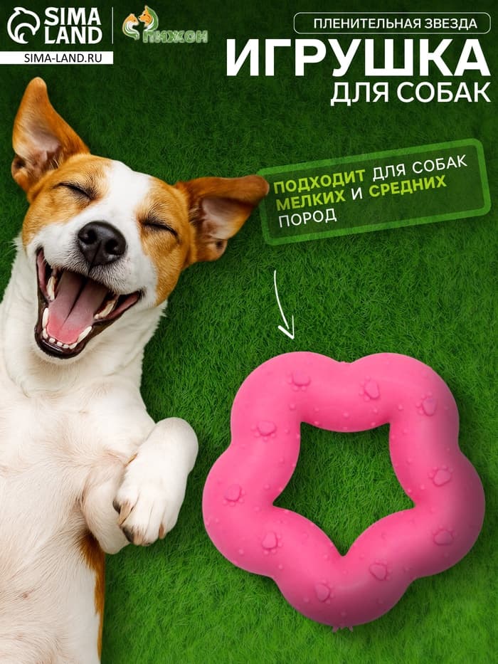 Жевательная игрушка для собак «Пленительная звезда», 7 см, TPR, розовая