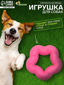 Жевательная игрушка для собак «Пленительная звезда», 7 см, TPR, розовая