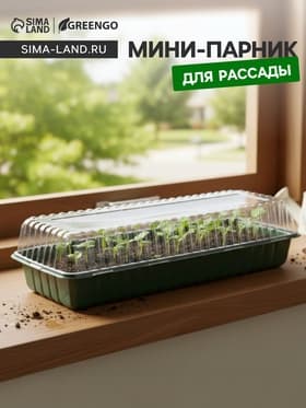 Мини - парник для рассады, 58×21×12 см, без вставок, тёмно-зелёный, пластик, Greengo