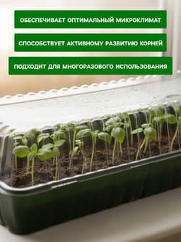 Мини - парник для рассады, 58×21×12 см, без вставок, тёмно-зелёный, пластик, Greengo