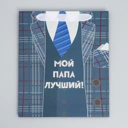 Пакет подарочный ламинированный, упаковка, «Мой папа лучший», ML 27×23×11.5 см