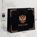 Пакет подарочный, упаковка, «Россия в душе моей», 30×25.5×9 см