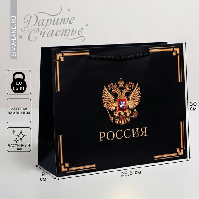 Пакет подарочный, упаковка, «Россия в душе моей», 30×25.5×9 см