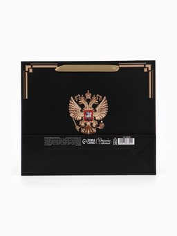 Пакет подарочный, упаковка, «Россия в душе моей», 30×25.5×9 см