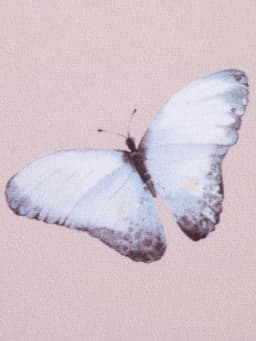 Шторы для кухни с подхватами «Этель» Butterflies, 145×180 см, комплект - 2 шт.