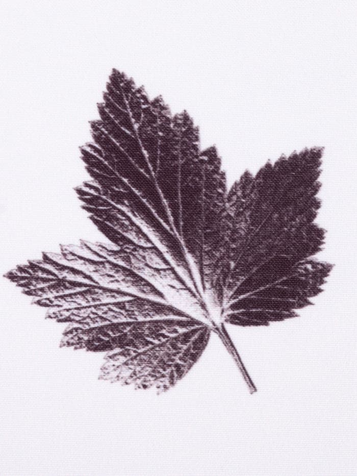 Шторы для кухни с подхватами «Этель» Impression 145×180 см, комплект - 2 шт.