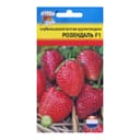 Семена Клубника «Розендаль F1», 0.005 г, ремонтантная, «Урожай удачи»