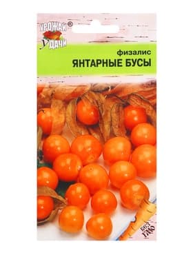 Семена Физалис "ЯНТАРНЫЕ БУСЫ", 0,1 г