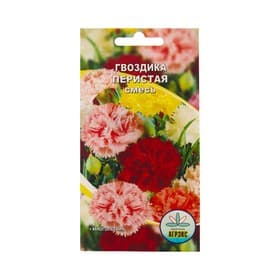 Семена Цветов Гвоздика перистая, смесь окрасок, 0.1 г
