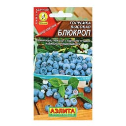 Семена Голубика высокая «Блюкроп», 0.01 г, многолетник, «Аэлита»