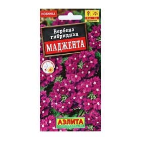 Семена Цветов Вербена гибридная «Маджента», 10 шт.