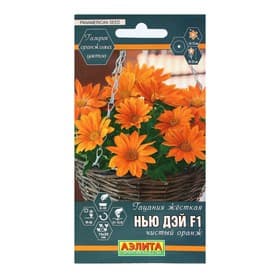 Семена Цветов Гацания «Нью Дэй», F1, чистый оранж, для балкона, веранды, цветника, однолетник, низкорослая5 шт.