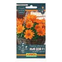 Семена Цветов Гацания «Нью Дэй», F1, чистый оранж, для балкона, веранды, цветника, однолетник, низкорослая5 шт.