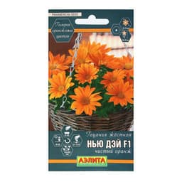Семена Цветов Гацания «Нью Дэй», F1, чистый оранж, для балкона, веранды, цветника, однолетник, низкорослая5 шт.
