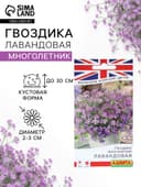 Семена цветов Гвоздика многолетняя «Лавандовая» 0.05 г