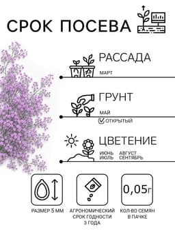 Семена цветов Гвоздика многолетняя «Лавандовая» 0.05 г