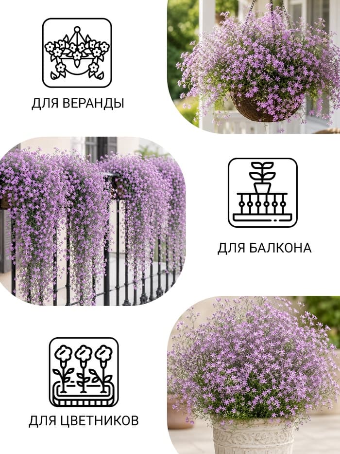 Семена цветов Гвоздика многолетняя «Лавандовая» 0.05 г