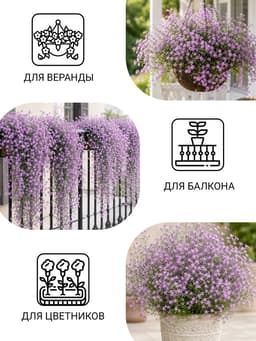 Семена цветов Гвоздика многолетняя «Лавандовая» 0.05 г